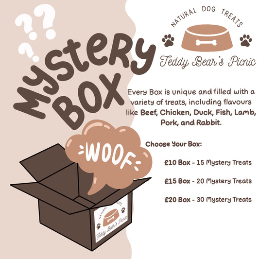 Mystery Dog Treats Box